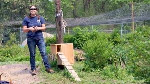 Eggs, Nests & Incubation