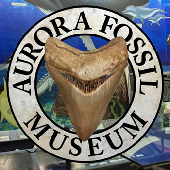 Aurora Fossil Museum