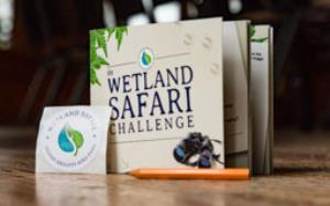 Wetland Safari Challenge