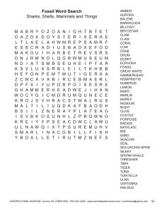 Fossil Word Search
