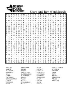 Shark And Ray Word Search