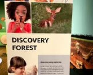 Discovery Forest
