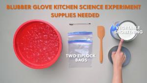 Kitchen Science: Thermoregulation and Blubber Gloves