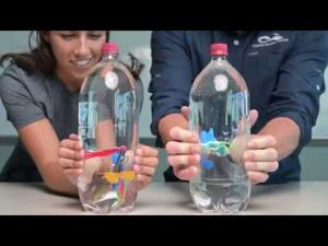 Kitchen Science: Pressure and Cartesian Divers