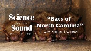 Science on the Sound: Bats of North Carolina